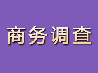 天镇商务调查